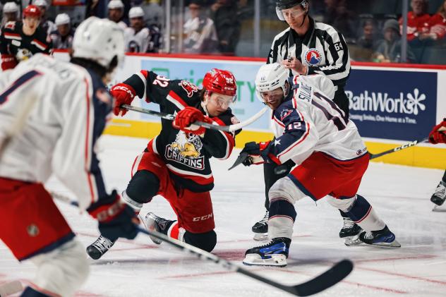 Grand Rapids Griffins' Tyler Spezia battles Cleveland Monsters' Owen Sillinger