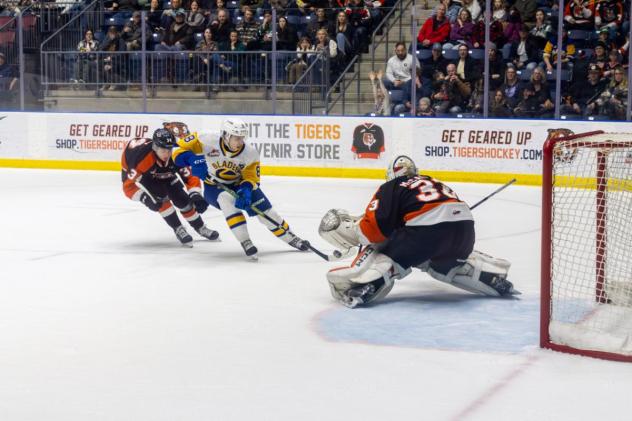 Saskatoon Blades' Brandon Lisowsky battles Medicine Hat Tigers' Andrew Basha and Ethan McCallum