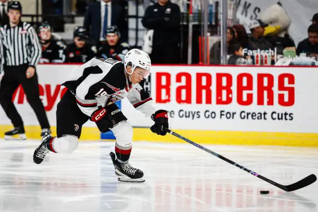 Vancouver Giants' Cameron Schmidt in action