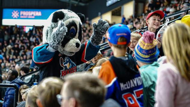 Kelowna Rockets' Mascot Rocky Raccoon with fans