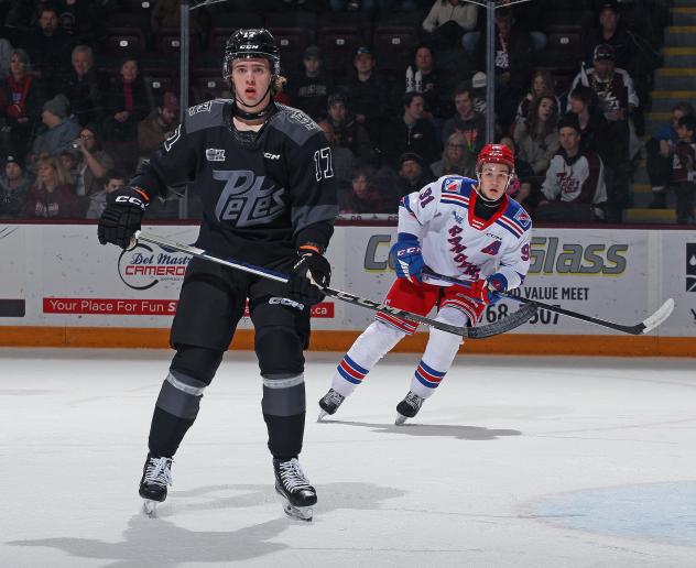 Peterborough Petes defenceman William Haley vs. the Kitchener Rangers
