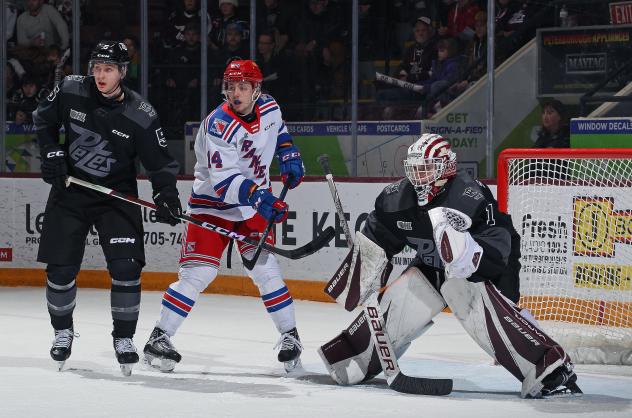 Peterborough Petes goaltender Liam Sztuska vs. the Kitchener Rangers