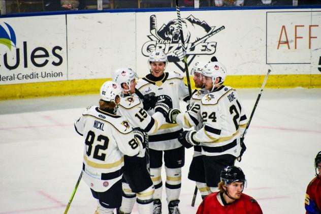 Wheeling Nailers gather after a goal against the Utah Grizzlies