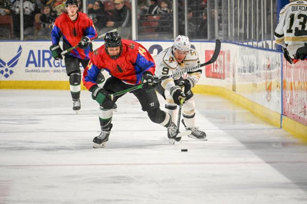 Utah Grizzlies take on the Wheeling Nailers