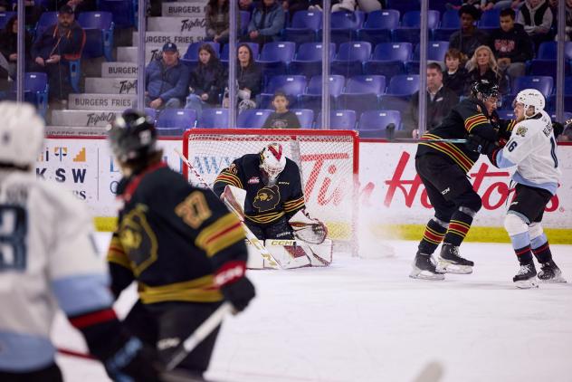 Vancouver Giants goaltender Brett Mirwald