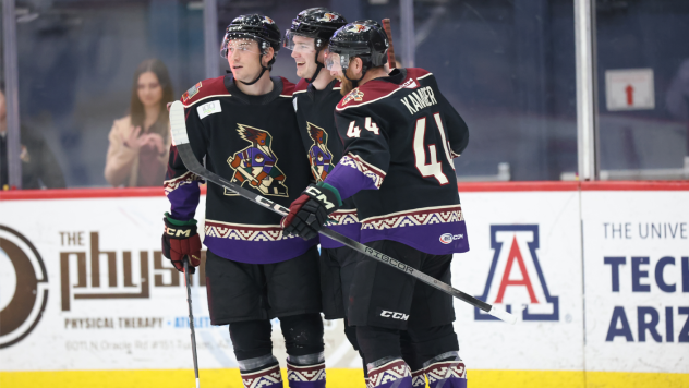 Tucson Roadrunners gather after a goal