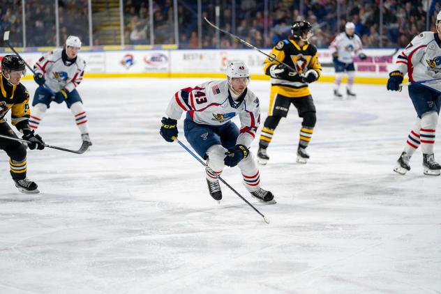 Springfield Thunderbirds defenseman Calle Rosen