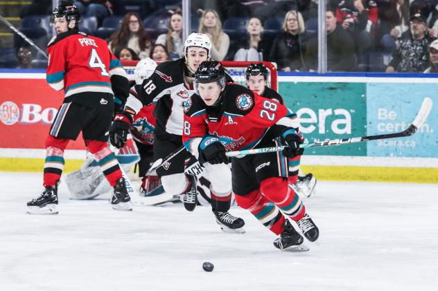 Kelowna Rockets' Andrew Cristall in action