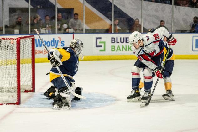 South Carolina Stingrays' Ivan Lodnia in action