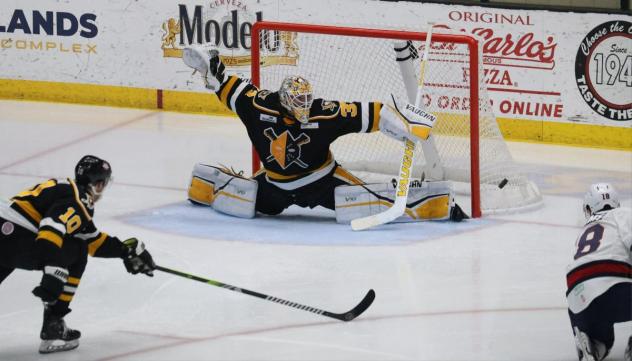 Wheeling Nailers' Taylor Gauthier in action