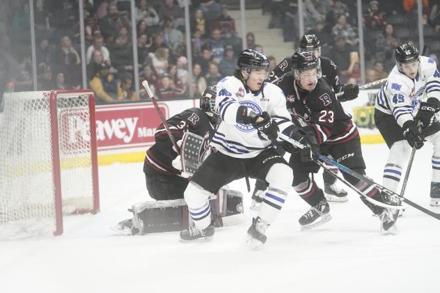Wenatchee Wild's Kenta Isogai in action