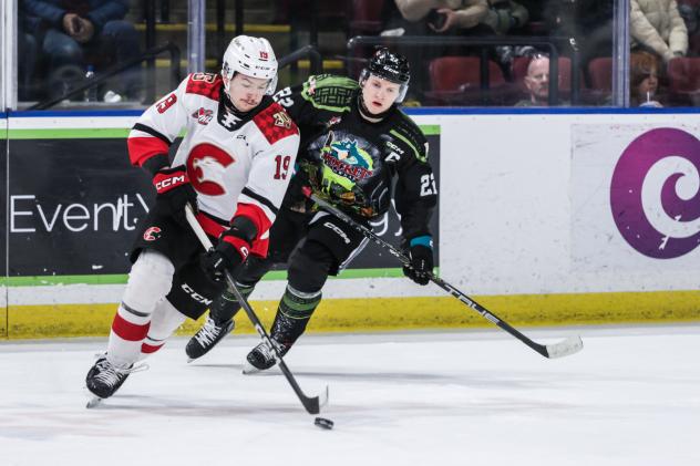 Prince George Cougars' Carlin Dezainde and Kelowna Rockets' Gabriel Szturc in action