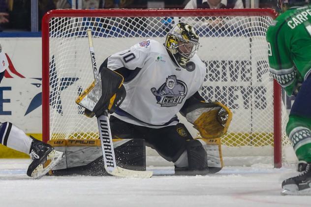 Jacksonville Icemen goaltender Matt Vernon