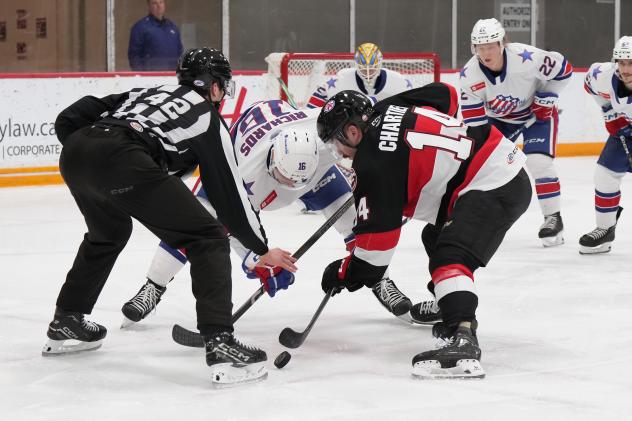 Rochester Americans' Justin Richards versus Belleville Senators' Rourke Chartier