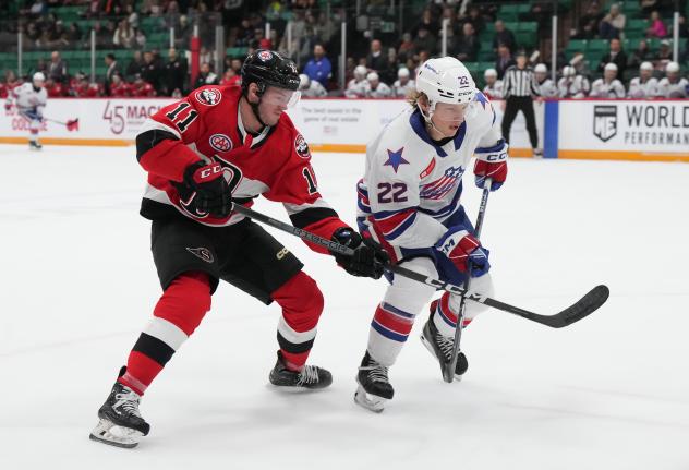 Belleville Senators' Kyle Betts versus Rochester Americans' Zach Metsa