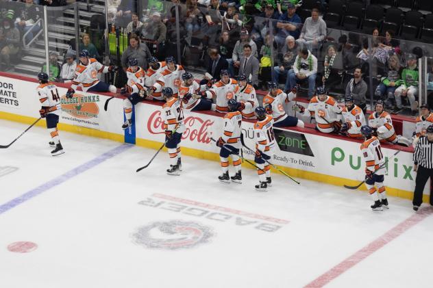 Greenville Swamp Rabbits celebrate win