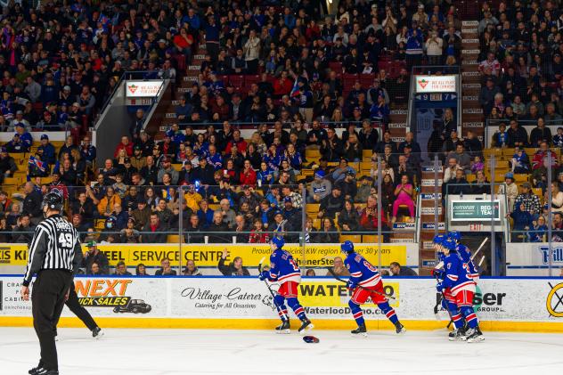 Kitchener Rangers on the ice