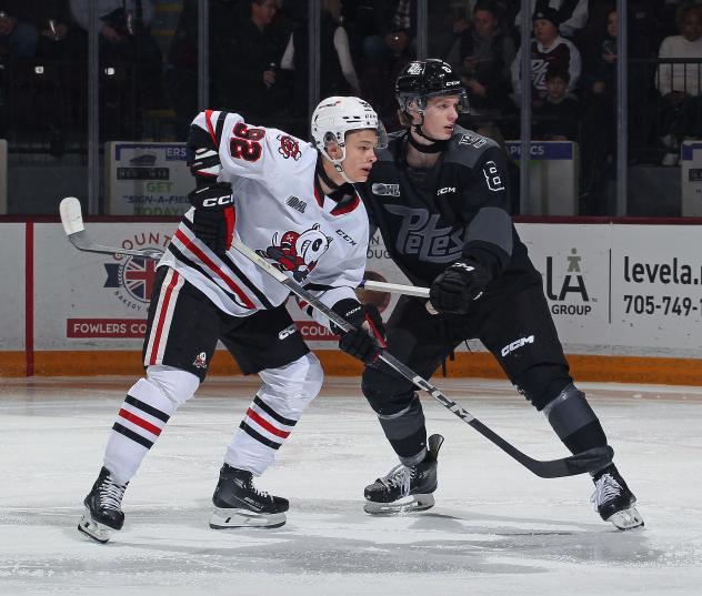 Niagara IceDogs' Ivan Galiyanov and Peterborough Petes' Liam Ladds on game night