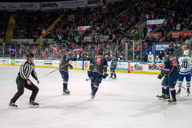 Springfield Thunderbirds on the ice