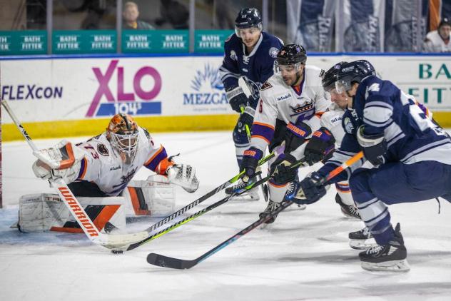 Worcester Railers look for an opening against the Reading Royals