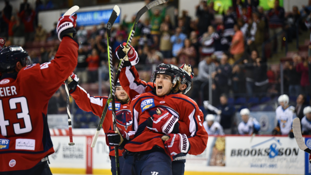 South Carolina Stingrays react after a goal agianst the Toledo Walleye