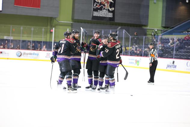 Tucson Roadrunners' Cam Crotty celebrates with team