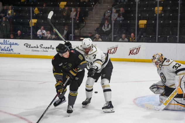 Iowa Heartlanders' Pavel Novak versus Wheeling Nailers' Davis Bunz
