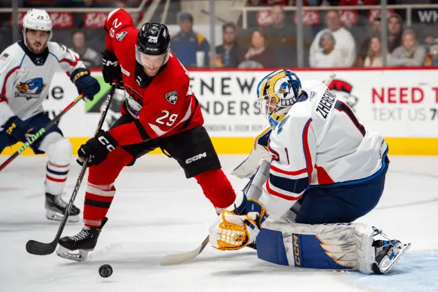 Springfield Thunderbirds goaltender Vadim Zherenko vs. the Charlotte Checkers