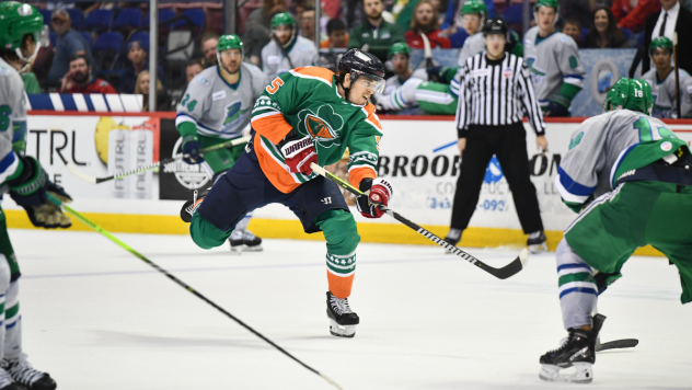 South Carolina Stingrays in their St. Patrick's uniforms
