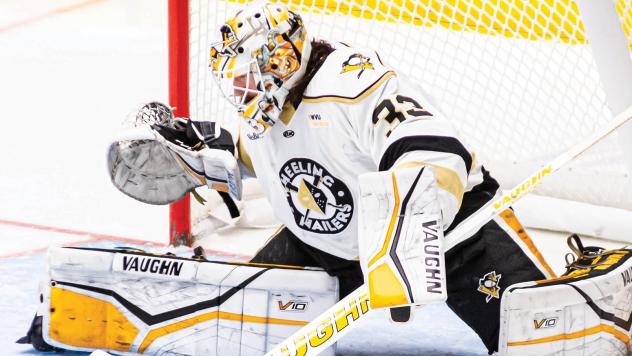 Wheeling Nailers goaltender Taylor Gauthier