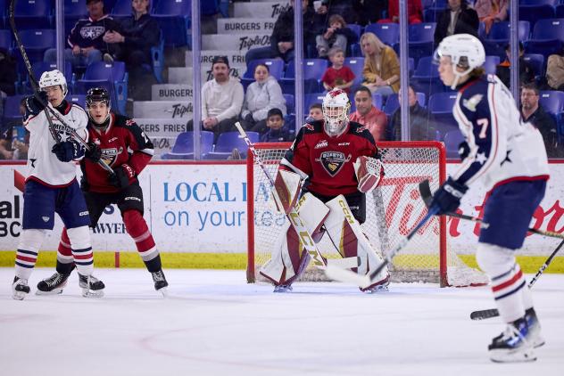 Vancouver Giants goaltender Brett Mirwald