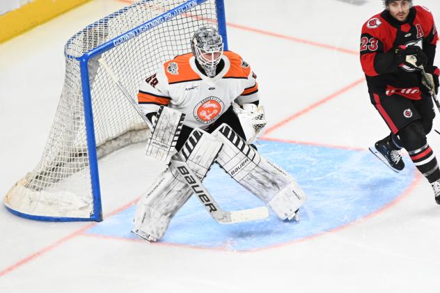Greenville Swamp Rabbits goaltender Jacob Ingham