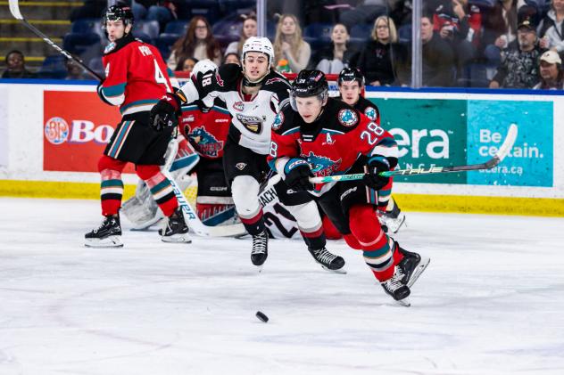 Kelowna Rockets right wing Andrew Cristall eyes the puck