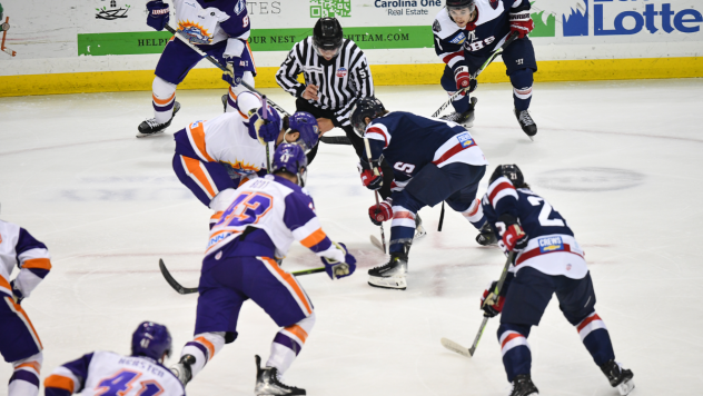 South Carolina Stingrays battle the Orlando Solar Bears