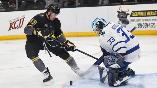 Iowa Heartlanders' Adam Goodsir battles Wichita Thunder's Trevor Gorsuch