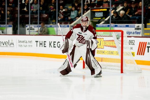 Peterborough Petes' Zachary Bowen on the ice