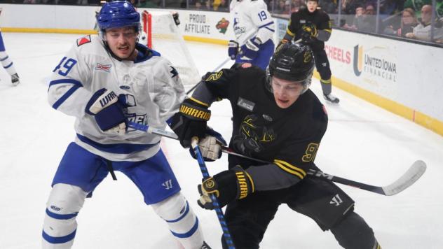 Wichita Thunder battle the Iowa Heartlanders