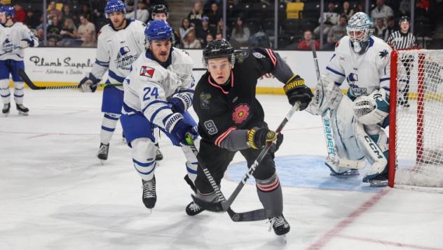 Wichita Thunder defenseman Nolan Kneen (left) vs. the Iowa Heartlanders