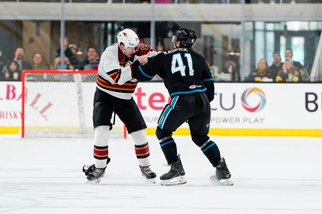 Tucson Roadrunners forward Jan Jenik (left) fights the San Jose Barracuda