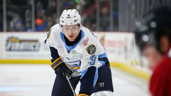 Toledo Walleye defenseman Matt Anderson