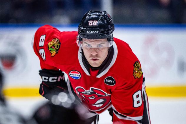 Rockford IceHogs left wing Mike Hardman