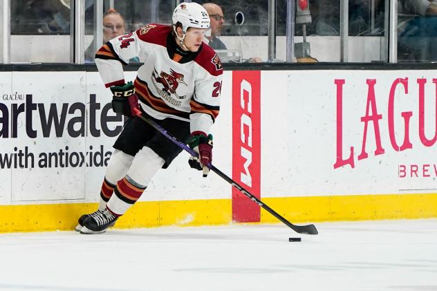 Tucson Roadrunners forward Jan Jenik
