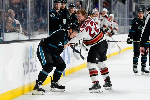Tucson Roadrunners forward Ben McCartney works out his frustrations
