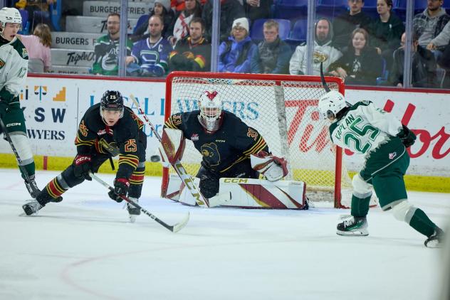 Vancouver Giants goaltender Brett Mirwald