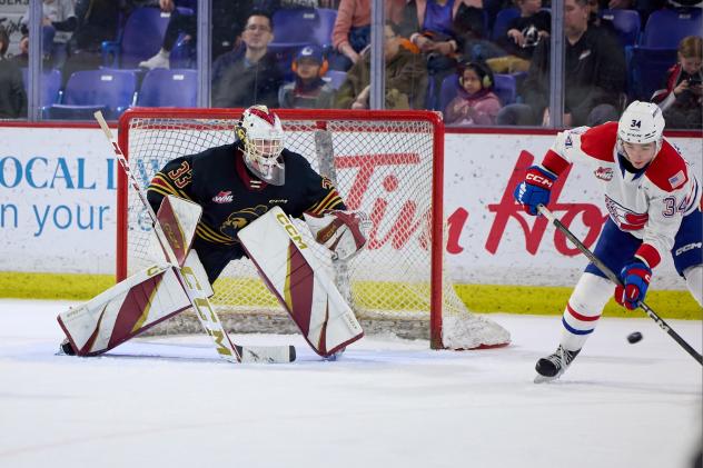 Vancouver Giants goaltender Brett Mirwald