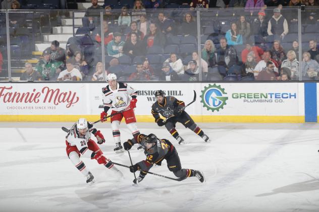 Grand Rapids Griffins' Elmer Soderblom versus Chicago Wolves' Domenick Fensore