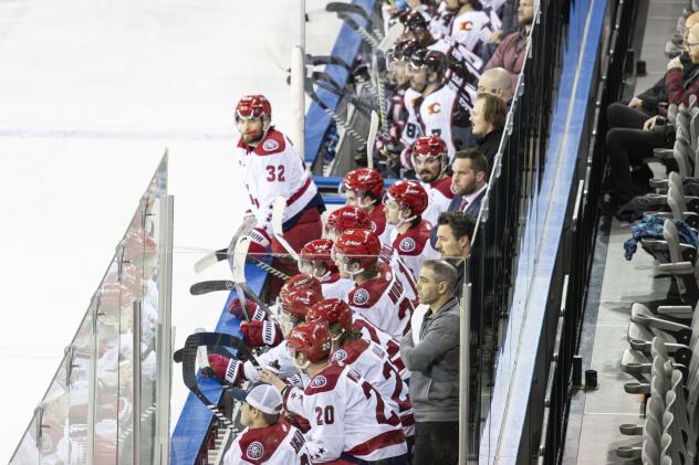Allen Americans on game night