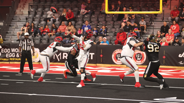 Jacksonville Sharks battle the Vegas Knight Hawks