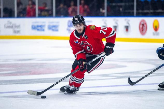 Rockford IceHogs forward Cole Guttman