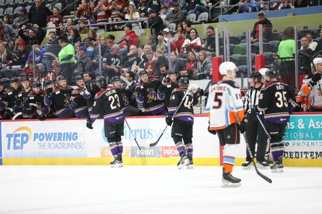 Tucson Roadrunners' bench offers congratulations